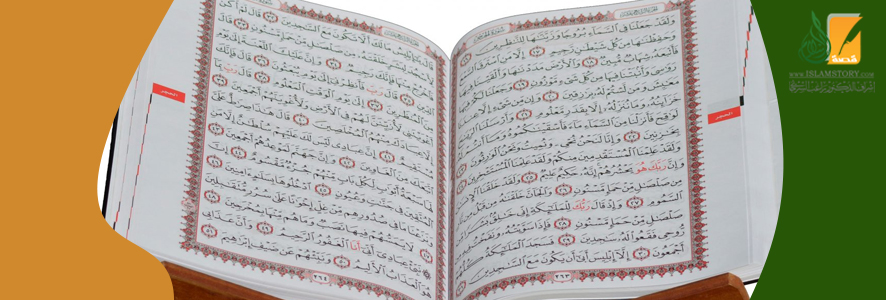 القارئ  الشيخ حمدي مدوخ