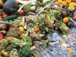 Se desperdicia casi la mitad de productos alimentarios del mundo