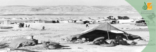 النكبة (1948-1966)