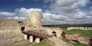 حصار بلجراد 1456م 