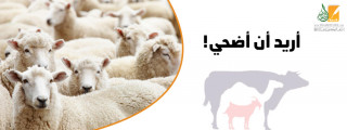 أريد أن أضحي ! أريد أن أضحي !