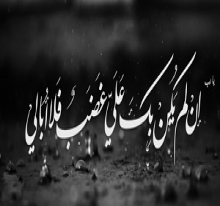 رحلة الطائف.. روايات وتحليلات رحلة الطائف.. روايات وتحليلات