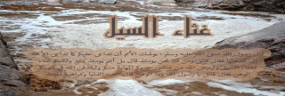 غثاء كغثاء السيل