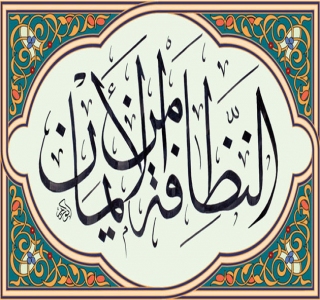 النظافة الشخصية ورؤية الغرب للبيئة