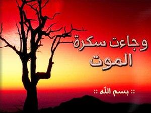 موت الفجأة موت الفجأة