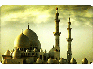 الفقه والسياسة في عصر المرابطين 