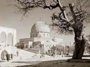السكان في فلسطين التاريخية السكان في فلسطين التاريخية