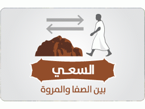 إنفوجرافيك | السعي بين الصفا والمروة إنفوجرافيك | السعي بين الصفا والمروة