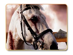 الخلافة العباسية بعد سيطرة السلاجقة على السلطنة الخلافة العباسية بعد سيطرة السلاجقة على السلطنة
